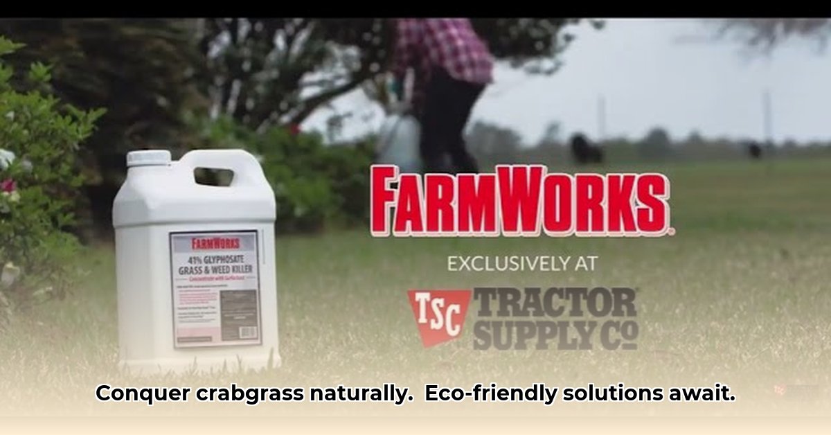 crabgrass-killer-tractor-supply